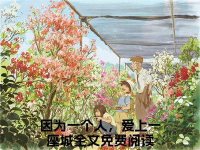 陆宸枫江槐完整版（因为一个人，爱上一座城小说）全文免费阅读无弹窗大结局_因为一个人，爱上一座城最新章节