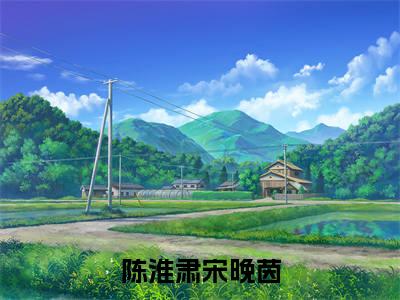 哄瞎眼废太子生子后离开，他疯了（陈淮肃宋晚茵）全文在线阅读无弹窗_哄瞎眼废太子生子后离开，他疯了小说全文大结局