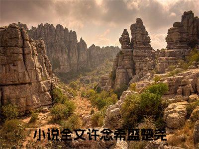 许念希盛楚尧（许念希盛楚尧）全文阅读完整版_许念希盛楚尧小说免费阅读大结局（许念希盛楚尧）