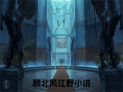 顾北风江野经典小说无广告小说免费阅读 顾北风江野全章节免费阅读