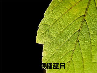 叶颜槿蓝月全文免费阅读无弹窗大结局，叶颜槿蓝月小说精彩免费试读