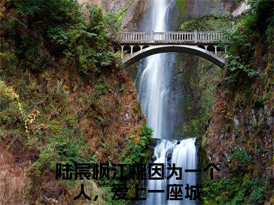 因为一个人，爱上一座城（陆宸枫江槐）最新章节在线阅读-老书虫推荐因为一个人，爱上一座城小说