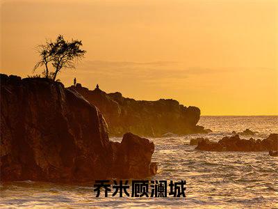 乔米顾澜城小说哪里能看-(乔米顾澜城)最新章节在线阅读