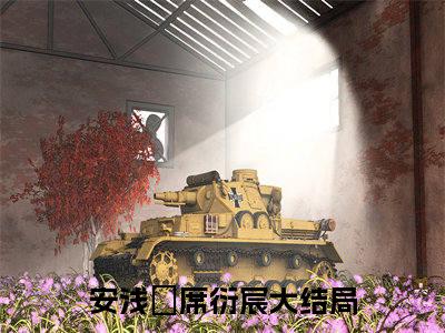 安浅婳席衍宸完整版《安浅婳席衍宸》全文阅读