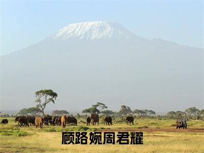 顾路婉周君耀阅读无弹窗大结局_（顾路婉周君耀阅读无弹窗）最新章节列表_笔趣阁（顾路婉周君耀）