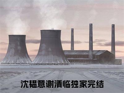 沈韫意谢清临全文免费阅读大结局 沈韫意谢清临小说最新章节阅读无弹窗