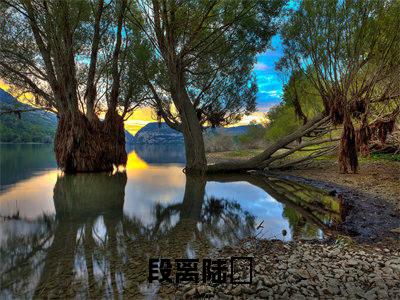 段离陆玦最新章节全文阅读段离陆玦天完整版小说