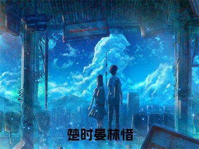 楚时晏林惜（楚总别虐了，太太带着孕肚改嫁了）全文免费读无弹窗大结局_楚时晏林惜免费阅读全文大结局最新章节列表