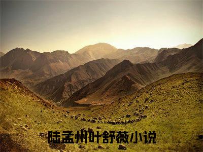 陆孟州叶舒薇好书陆孟州叶舒薇免费赏析-《陆孟州叶舒薇》小说分享全集