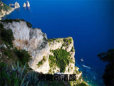 傅融司清颜（傅融司清颜）全文免费阅读无弹窗大结局_(傅融司清颜小说免费阅读)_笔趣阁