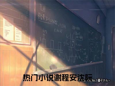 谢程安沈阮无删版小说阅读-谢程安沈阮全文无弹窗试读