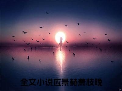 应景赫萧枝晚热文结局在线阅读 应景赫萧枝晚完整版小说