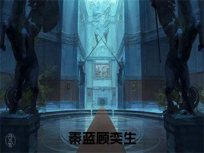 秦蓝顾奕生（秦蓝顾奕生）小说全文无删减-秦蓝顾奕生小说大结局免费阅读