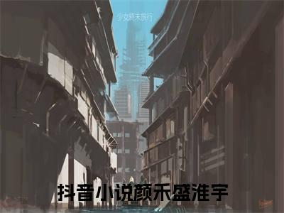 满分小说（颜禾盛淮宇）全文免费阅读 颜禾盛淮宇言情小说讲的是什么
