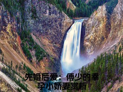 （热推新书）洛繁星傅云琛完整版免费小说无弹窗阅读_洛繁星傅云琛最新章节列表_笔趣阁（先婚后爱：傅少的幸孕小娇妻）