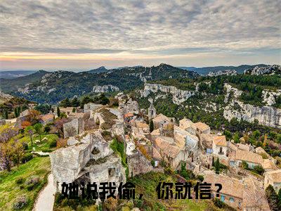 她说我偷，你就信？全文免费阅读大结局-陆笙江沉云最新章节列表-笔趣阁