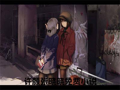 许颜张晓晓免费小说 许颜张晓晓全文无弹窗完整版阅读