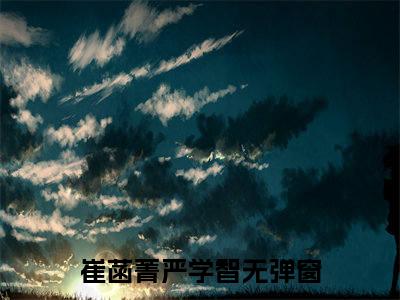 崔菡菁严学智（崔菡菁严学智全文免费）小说全文免费阅读无弹窗大结局_(崔菡菁严学智免费阅读）崔菡菁严学智最新章节列表_笔趣阁（崔菡菁严学智）