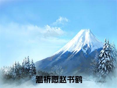 温祈愿赵书鹤（温祈愿赵书鹤）小说全本完结版免费阅读