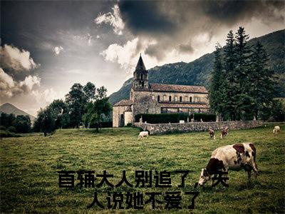小说（首辅大人别追了，夫人说她不爱了）宴雯茵战萧精选片段阅读-小说宴雯茵战萧免费版最新更新阅读
