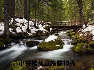 立横隐神秀小说(立横隐神秀)全文免费立横隐神秀读无弹窗大结局_(立横隐神秀小说免费阅读)