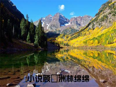 顾璟洲林绵绵全文小说全章节阅读
