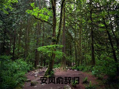 安凤俞辞归（安凤俞辞归）全文免费阅读无弹窗大结局_（安凤俞辞归）最新章节列表笔趣阁