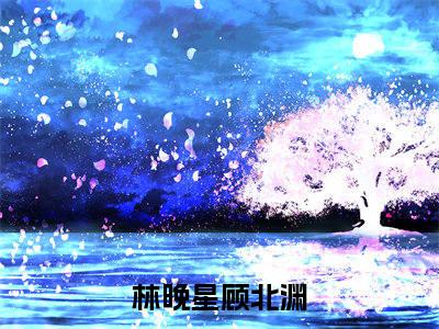主人公叫（林晚星顾北渊）的小说-林晚星顾北渊免费阅读最新章节列表_笔趣阁