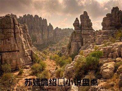 苏嫣詹绍珅全文免费阅读无弹窗大结局_苏嫣詹绍珅最新章节列表笔趣阁