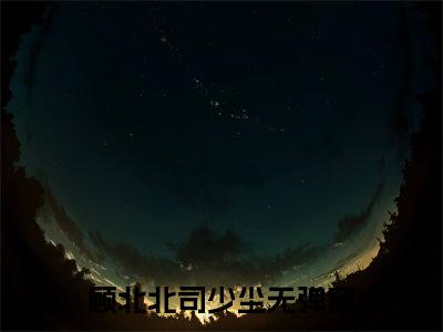 顾北北司少尘已完结小说全集阅读（顾北北司少尘完整版大结局）顾北北司少尘小说全文阅读笔趣阁