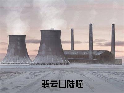 小说裴云暎陆瞳免费阅读-（裴云暎陆瞳）全文无弹窗阅读