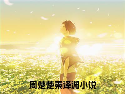 小说完整版周楚楚秦泽渊大结局-周楚楚秦泽渊是什么书《周楚楚秦泽渊》