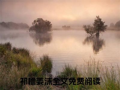 祁檐姜沫在线阅读（祁檐姜沫）全文免费阅读无弹窗大结局_祁檐姜沫免费最新章节列表_笔趣阁（祁檐姜沫）