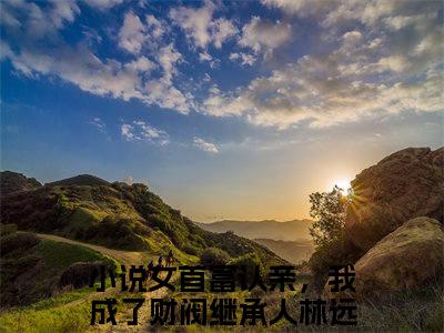 女首富认亲，我成了财阀继承人林远免费小说（女首富认亲，我成了财阀继承人林远）全本免费阅读-女首富认亲，我成了财阀继承人林远最新章节列表