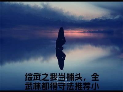 张白小说（综武之我当捕头，全武林都得守法）完整版大结局-综武之我当捕头，全武林都得守法小说免费阅读