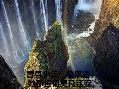 替身十年！今离去，她却追悔莫及（替身十年！今离去，她却追悔莫及）是什么小说-（江安）无弹窗免费阅读大结局最新章节列表_笔趣阁
