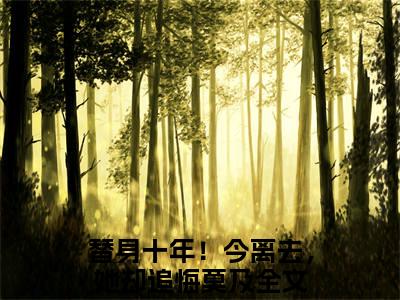江安（替身十年！今离去，她却追悔莫及）全文免费阅读无弹窗大结局_江安全文在线阅读无弹窗