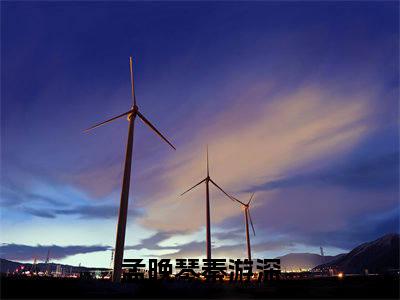 孟晚琴秦游深(孟晚琴秦游深)全文免费阅读无弹窗大结局_孟晚琴秦游深免费阅读全文无弹窗_笔趣阁