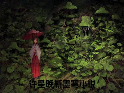 许星晚靳墨寒（许星晚靳墨寒)全文免费阅读无弹窗大结局_许星晚靳墨寒（许星晚靳墨寒）全文完整无删减版免费阅读（许星晚靳墨寒）
