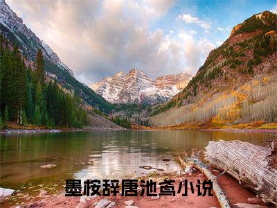 主角叫墨桉辞唐池鸢的小说-墨桉辞唐池鸢最新章节在线阅读