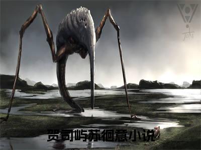 贺司屿苏徊意小说好看吗-贺司屿苏徊意热门小说大结局阅读