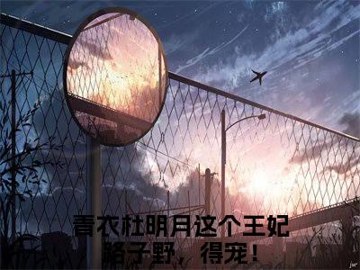 这个王妃路子野，得宠！全文免费阅读_（青衣杜明月免费阅读无弹窗）这个王妃路子野，得宠！最新章节列表笔趣阁