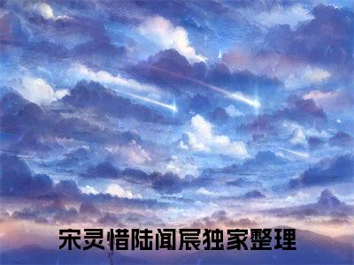 这个婚，我不想结了小说（宋灵惜陆闻宸）全文免费阅读_（宋灵惜陆闻宸）这个婚，我不想结了最新章节列表笔趣阁