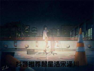 主人公叫黎星洛宋泽川的小说黎星洛宋泽川哪里免费看