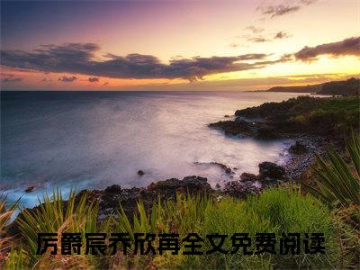 厉爵宸乔欣苒小说小说全文免费阅读（厉爵宸乔欣苒）全文免费厉爵宸乔欣苒读无弹窗大结局