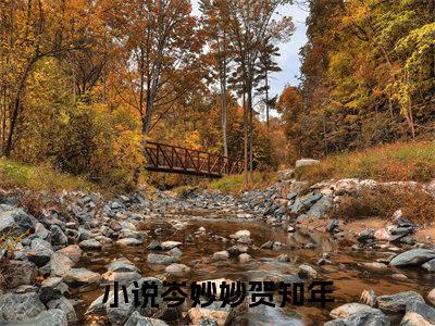 岑妙妙贺知年(岑妙妙贺知年)全文免费阅读大结局_岑妙妙贺知年免费在线阅读_笔趣阁（岑妙妙贺知年）