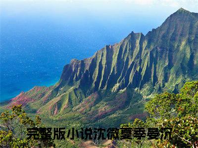沈微夏季晏沉（沈微夏季晏沉）全文免费阅读无弹窗大结局_沈微夏季晏沉全文免费阅读