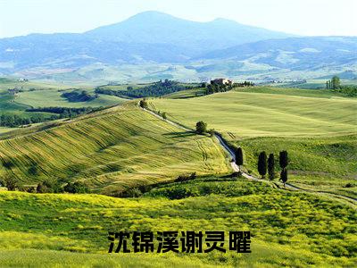 沈锦溪谢灵曜（沈锦溪谢灵曜）小说全文免费阅读无弹窗大结局_（沈锦溪谢灵曜）小说全文免费阅读最新章节列表笔趣阁