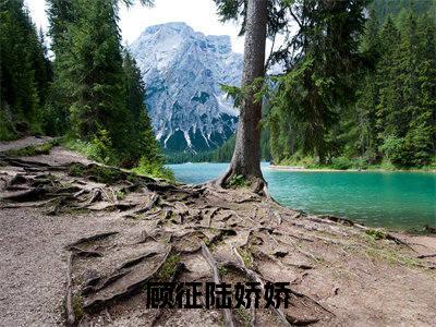 顾征陆娇娇小说全文，顾征陆娇娇无弹窗免费阅读