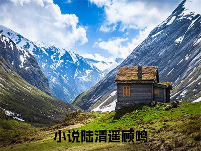 陆清遥顾鸣小说（陆清遥顾鸣）全文免费阅读_陆清遥顾鸣小说最新章节列表笔趣阁小说